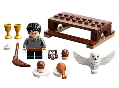 lego 2020 set 30420 Harry Potter and Hedwig Owl Delivery