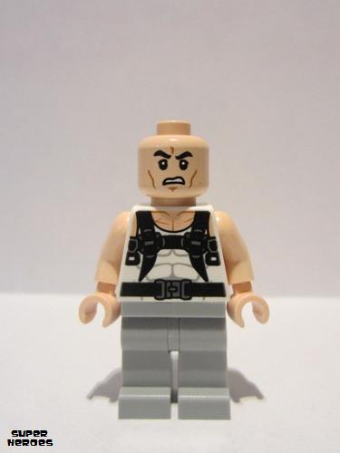 lego 2015 mini figurine sh0192 Rhino  
