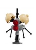 Buzz Droid