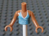 FTGpb069c01