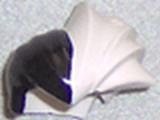 42988pb01