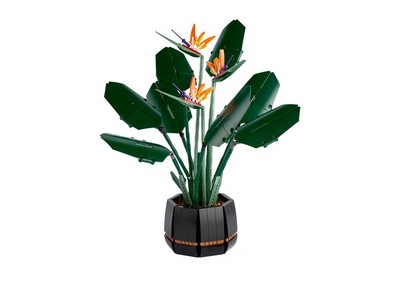 lego 2021 set 10289 Bird Of Paradise L’oiseau de paradis