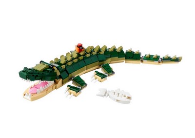 31121