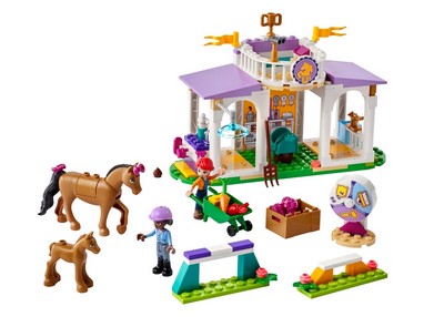 lego 2023 set 41746 Horse Training Le dressage équestre