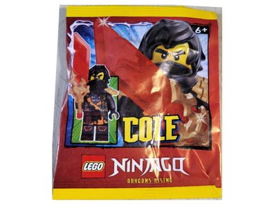 lego 2025 set 892512 Cole paper bag 